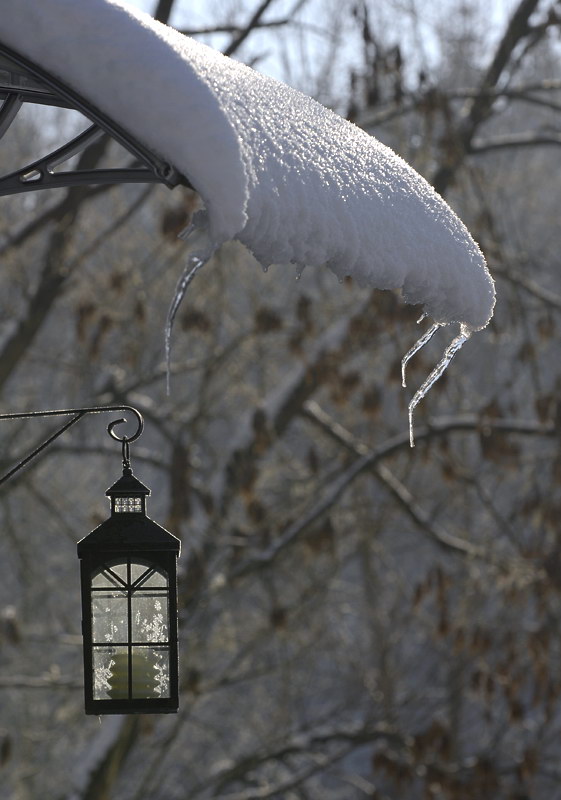 Winter LaterneWinter _DDC8950 Kopie.jpg